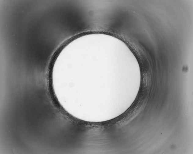 X0000103970676200809191535