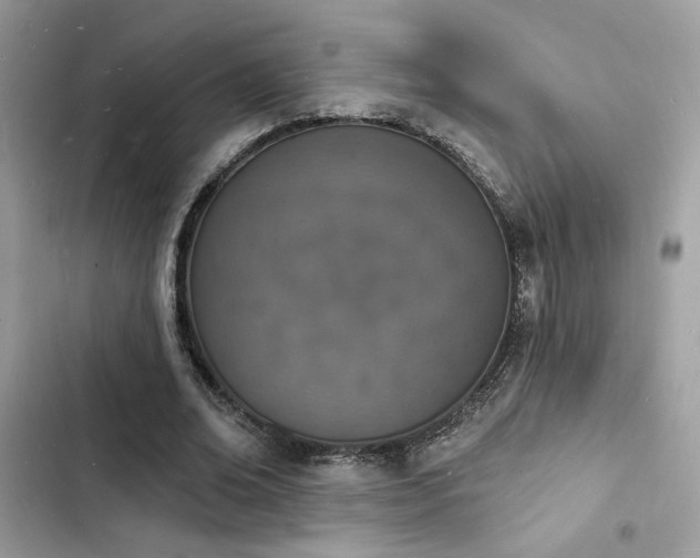 X0000103970678200809191535