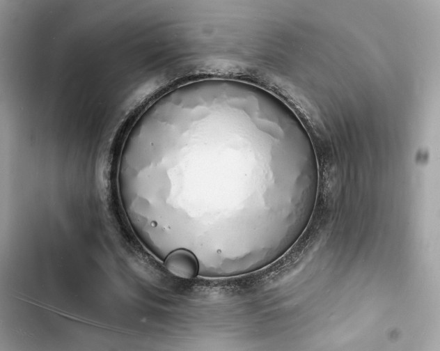 X0000103970679200809191535