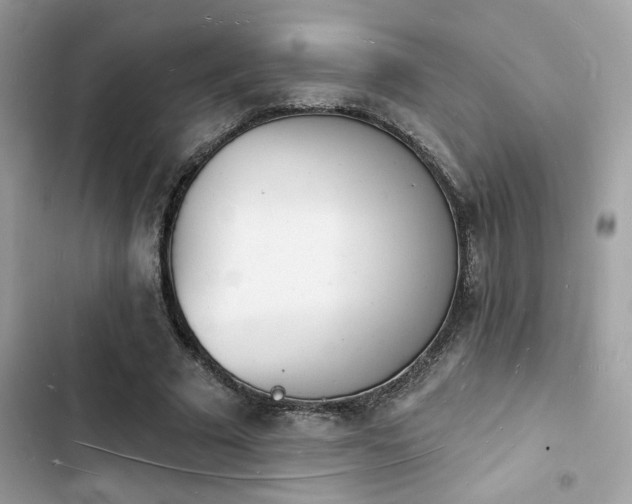 X0000103970681200809191535