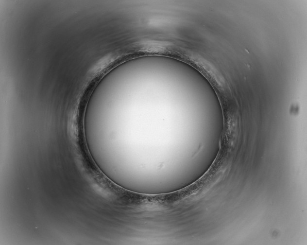 X0000103970682200809191535