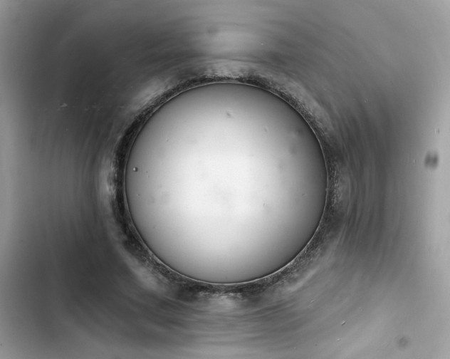 X0000103970683200809191535