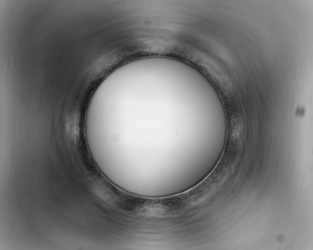 X0000103970685200809191535