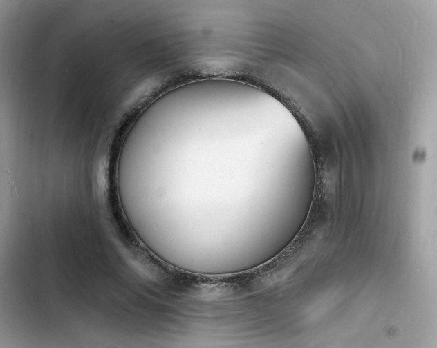 X0000103970686200809191535