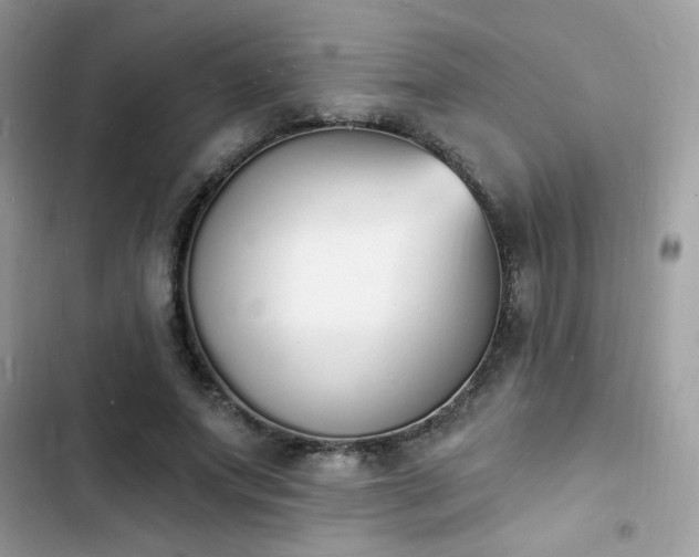 X0000103970687200809191535