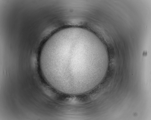 X0000103970688200809191535