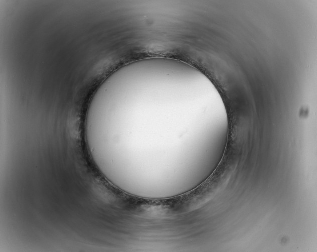 X0000103970689200809191535