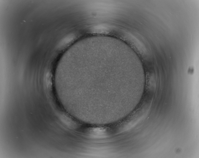 X0000103970692200809191535