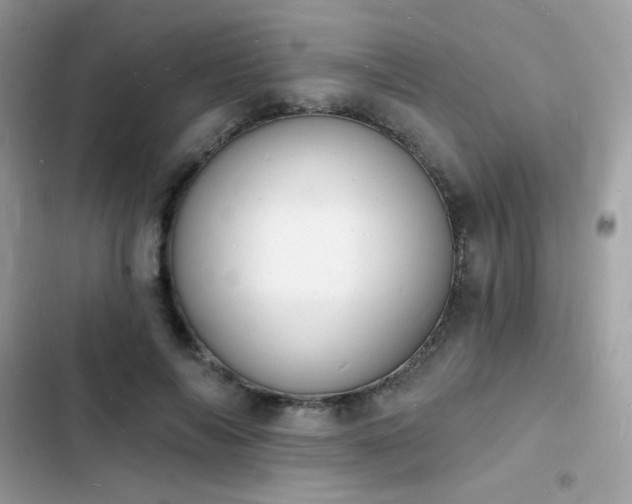 X0000103970694200809191534