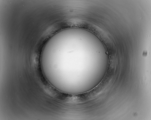 X0000103970695200809191534