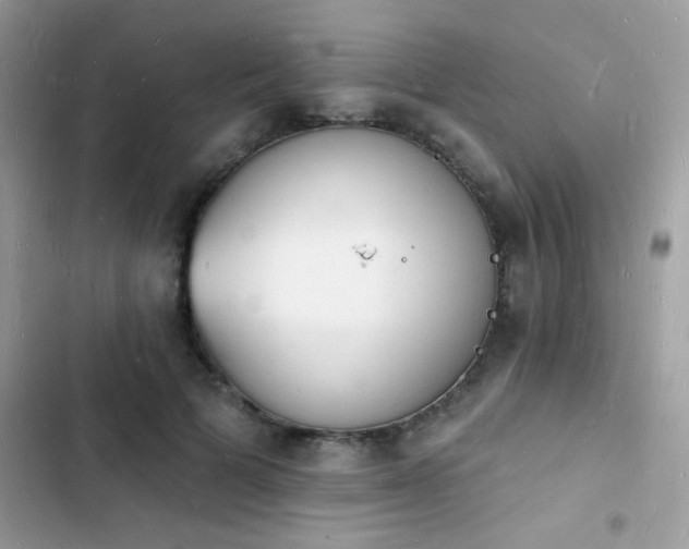 X0000103970697200809191534