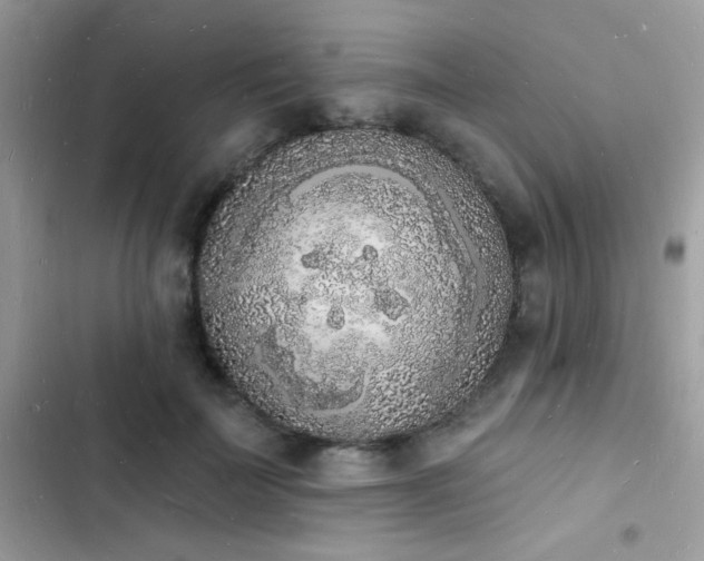 X0000103970699200809191534