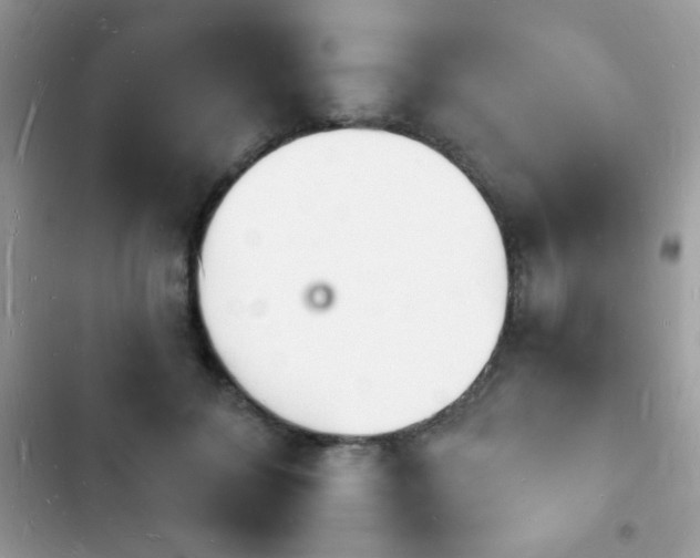 X0000103970700200809191534