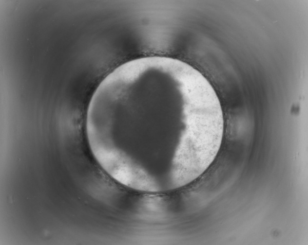 X0000103970701200809191534