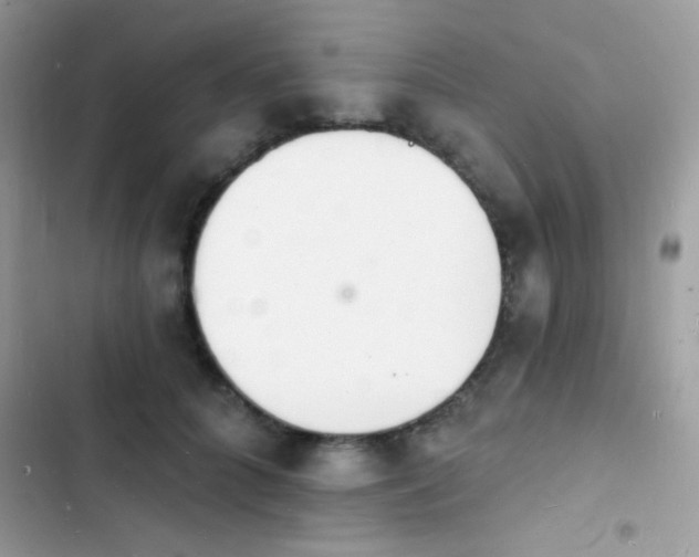 X0000103970704200809191534