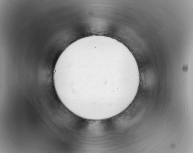 X0000103970705200809191534