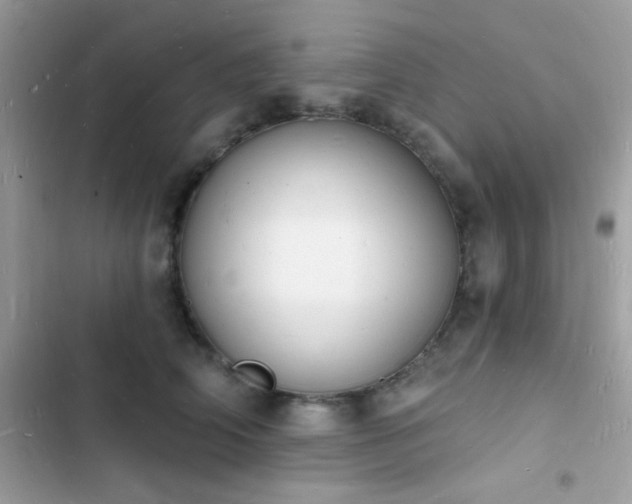 X0000103970706200809191534