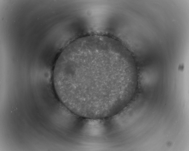 X0000103970709200809191534