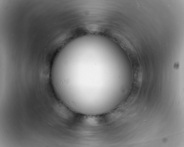 X0000103970710200809191534