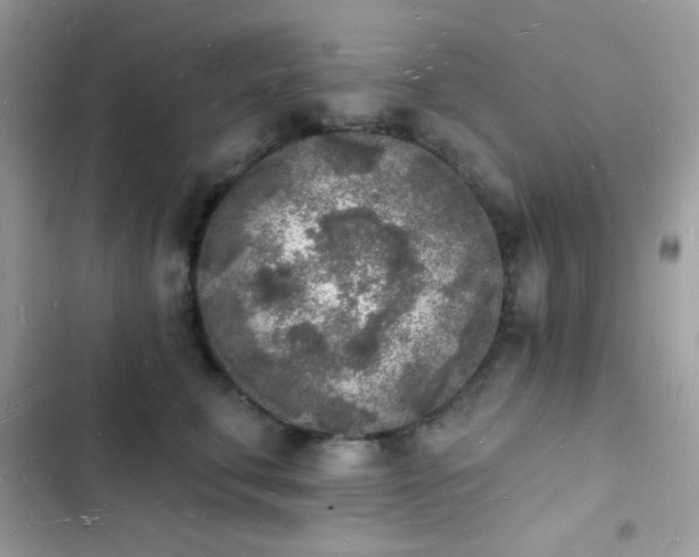 X0000103970711200809191534