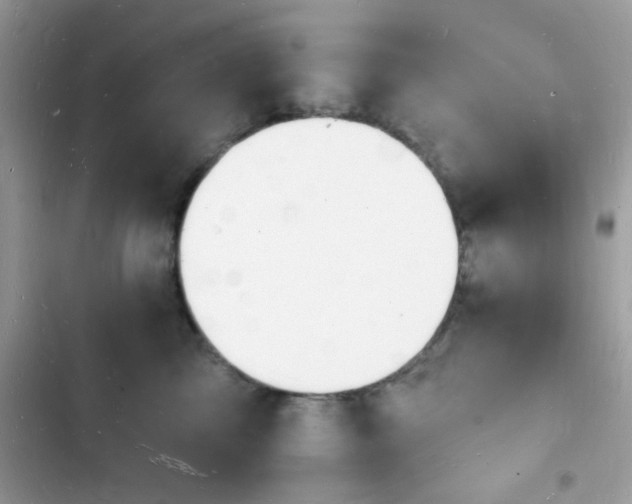 X0000103970713200809191534