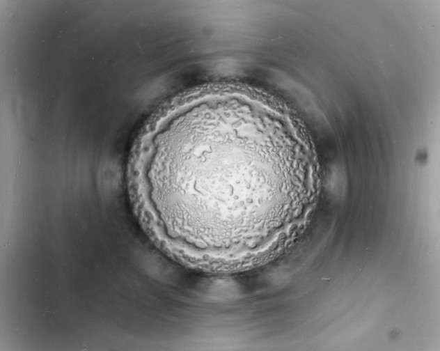 X0000103970715200809191534