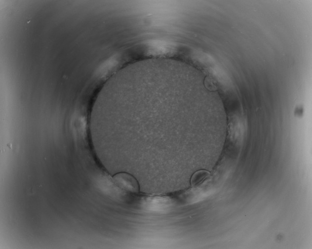 X0000103970716200809191534