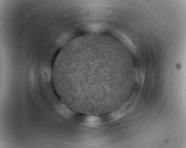 X0000103970718200809191534