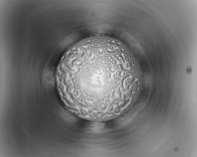 X0000103970719200809191534