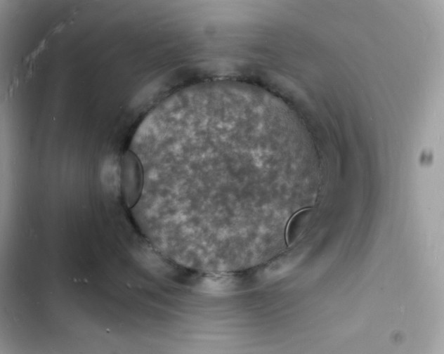 X0000103970720200809191534