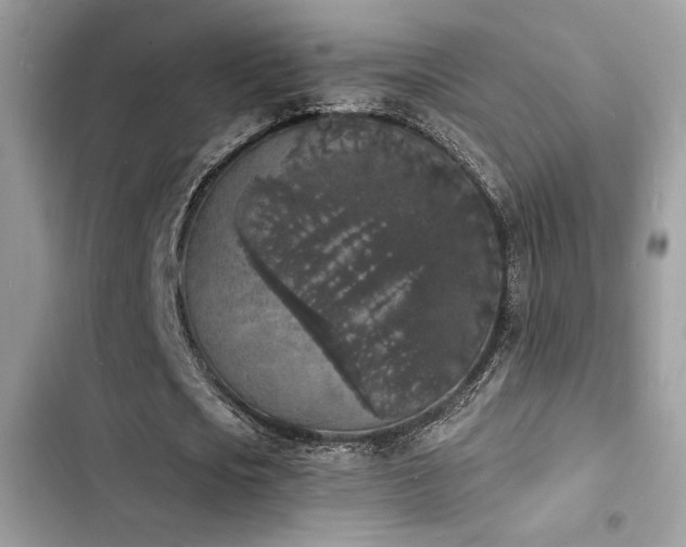 X0000103970721200809191533