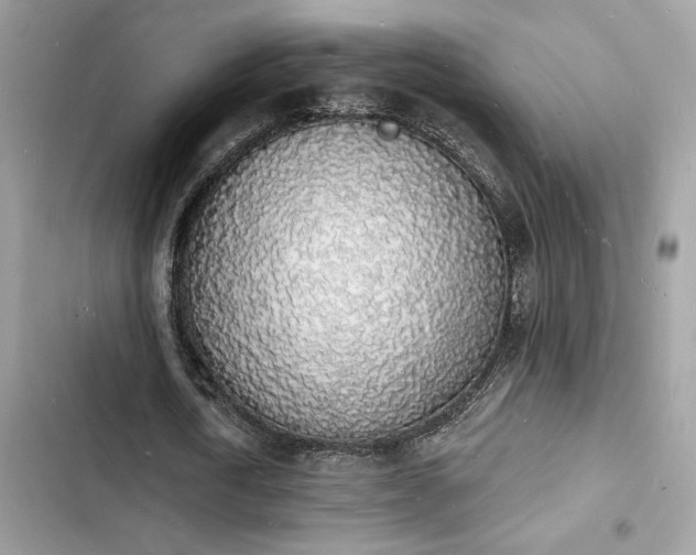 X0000103970722200809191533