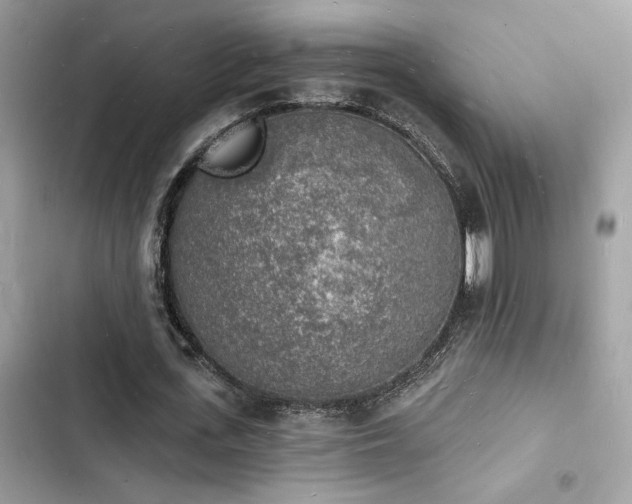 X0000103970723200809191533