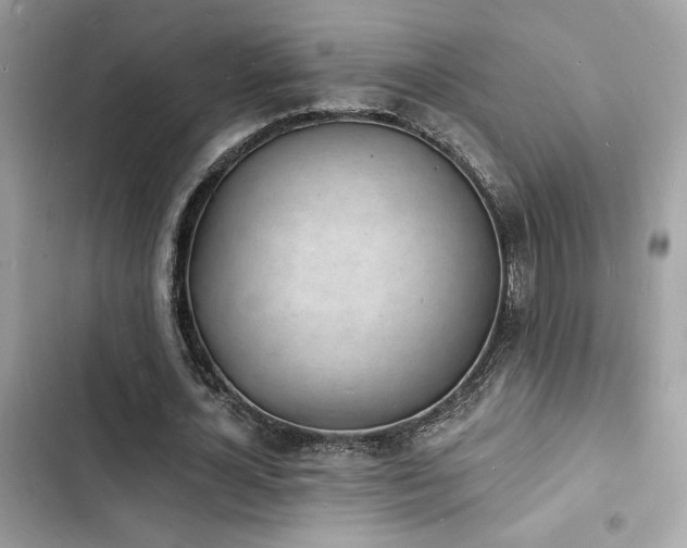 X0000103970724200809191533