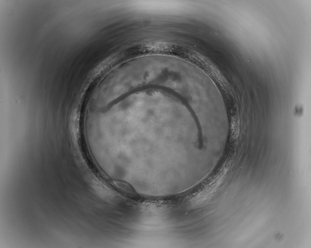 X0000103970725200809191533