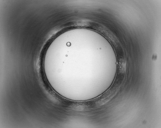 X0000103970726200809191533