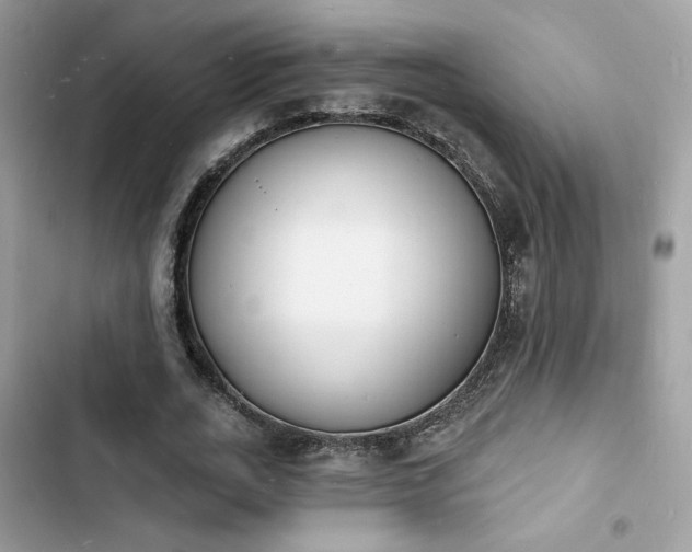 X0000103970727200809191533