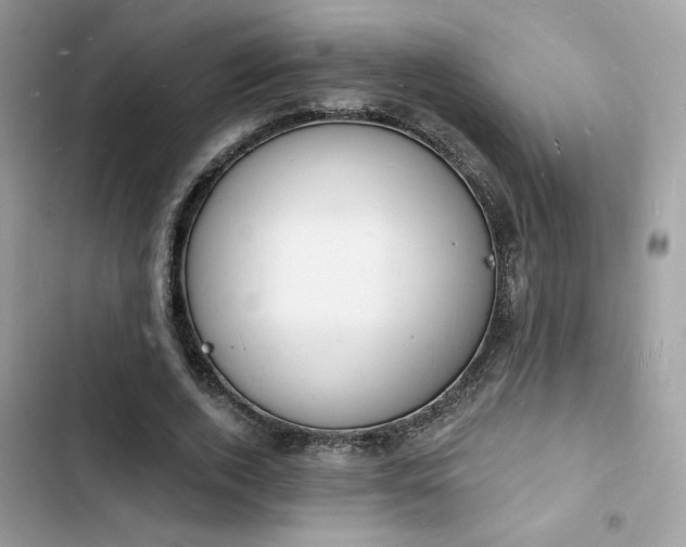 X0000103970728200809191533