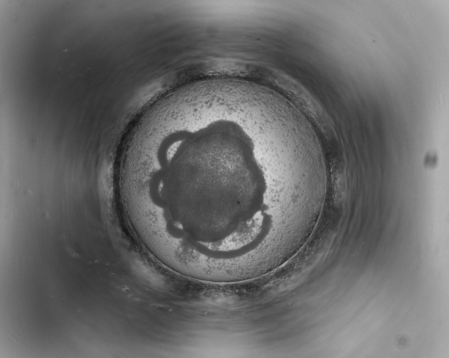 X0000103970729200809191533