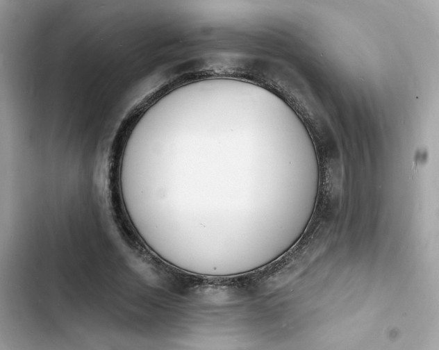 X0000103970730200809191533