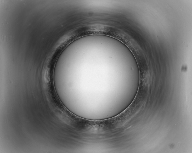 X0000103970731200809191533