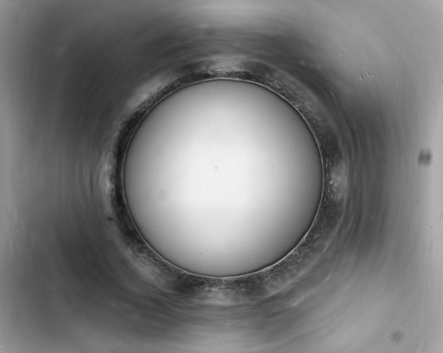 X0000103970732200809191533