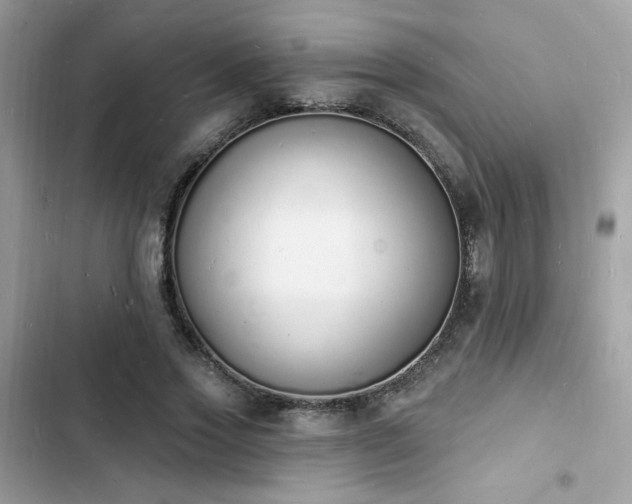 X0000103970733200809191533