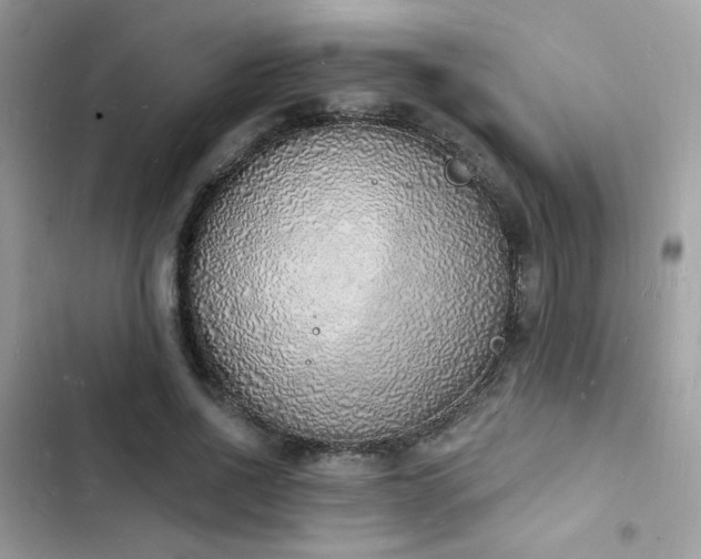 X0000103970734200809191533