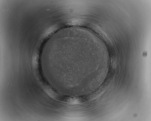 X0000103970735200809191533