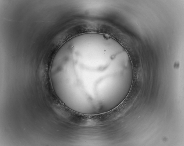 X0000103970737200809191534