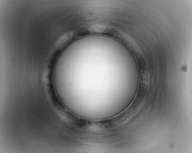 X0000103970738200809191534