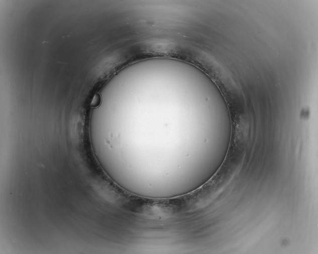 X0000103970739200809191534