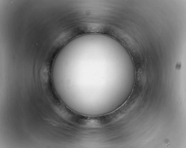 X0000103970741200809191534