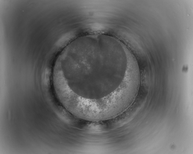 X0000103970742200809191534